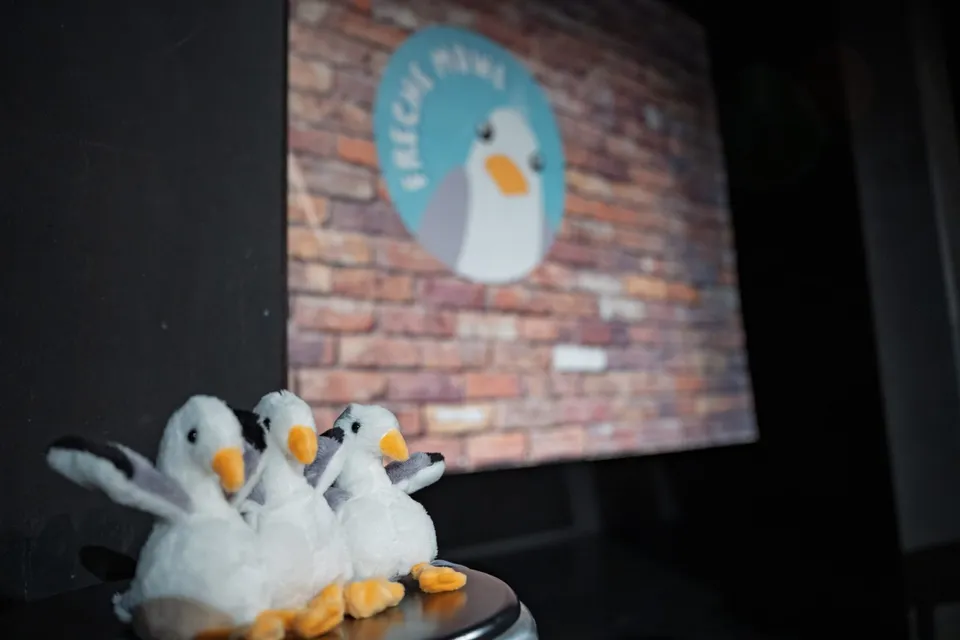 Freche-Möwe-Maskottchen zum Gewinnen
